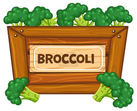 Illustration for Colorful vector illustration of broccoli displayed in a wooden box with a sign banner in front - Royalty Free Image