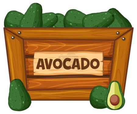 Illustration for Vector cartoon illustration of avocado in a wooden box with a sign banner - Royalty Free Image