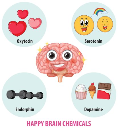 Illustration for Illustration of happy brain chemicals in a healthy human brain - Royalty Free Image