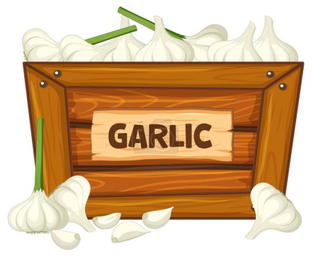 Illustration for Illustration of garlic in a wooden box with a sign banner - Royalty Free Image