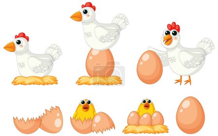 Illustration for A delightful cartoon illustration depicting the process of a chick being born from a hen laying an egg - Royalty Free Image