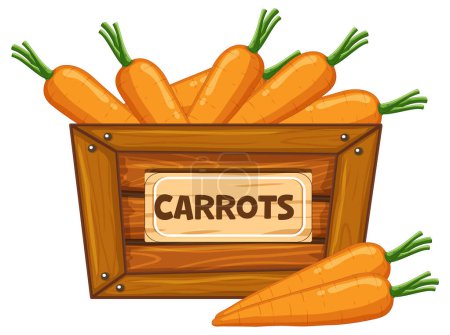 Téléchargez les illustrations : Illustration colorée de carottes dans une boîte en bois avec une bannière signe - en licence libre de droit