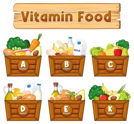 Illustration for Illustration showcasing vitamins and their food sources - Royalty Free Image