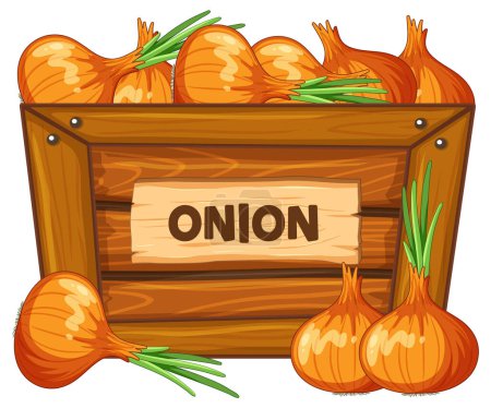 Illustration for Vector cartoon illustration of an onion in a wooden box with a sign banner - Royalty Free Image