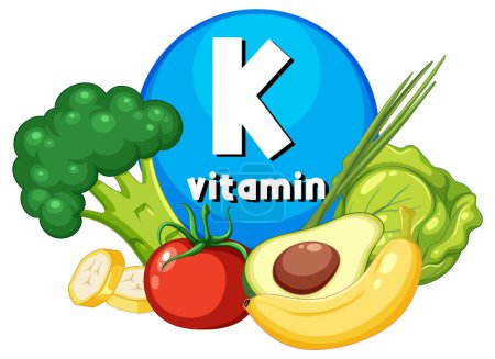 Illustration for A vector cartoon illustration of a variety of foods rich in Vitamin K - Royalty Free Image