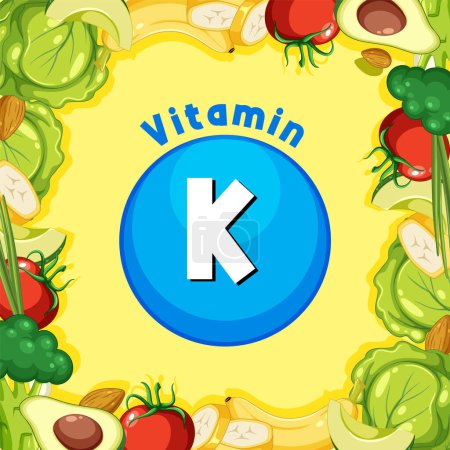 Téléchargez les illustrations : Bannière illustrée présentant une variété d'aliments riches en vitamine K - en licence libre de droit