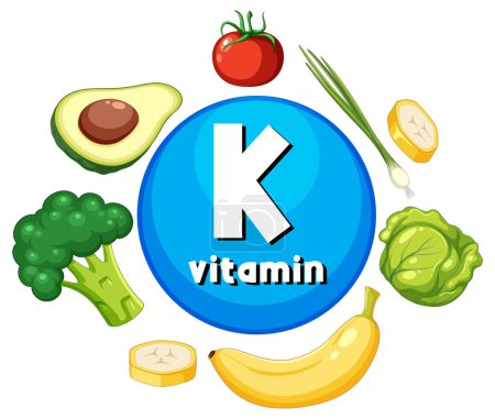 Ilustración de Ilustración de una variedad de alimentos ricos en vitamina K con fines educativos - Imagen libre de derechos