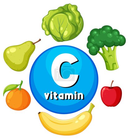 Illustration for Illustration of a variety of vitamin C-rich foods for educational purposes - Royalty Free Image