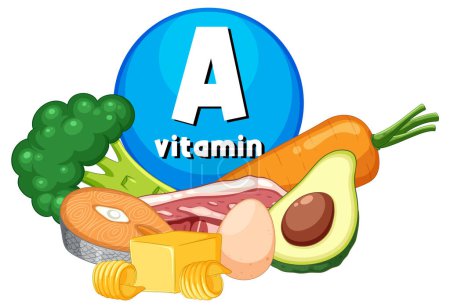 Illustration for Illustration of a variety of vitamin A-rich foods for educational purposes - Royalty Free Image