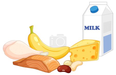 Illustration for Illustration of a variety of vitamin B-rich foods - Royalty Free Image