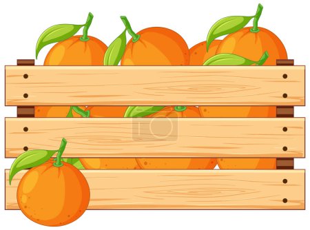 Téléchargez les illustrations : Illustration vectorielle d'une caisse en bois remplie d'oranges, isolée sur fond blanc - en licence libre de droit