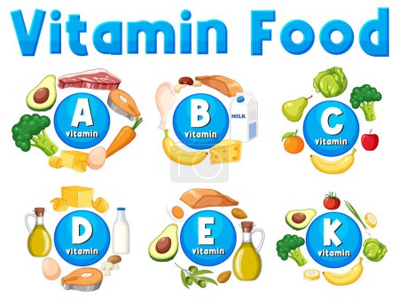 Ilustración de Ilustración que muestra vitaminas y sus correspondientes fuentes alimentarias - Imagen libre de derechos