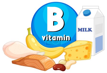 Illustration for Illustrated banner showcasing a variety of Vitamin B-rich foods - Royalty Free Image
