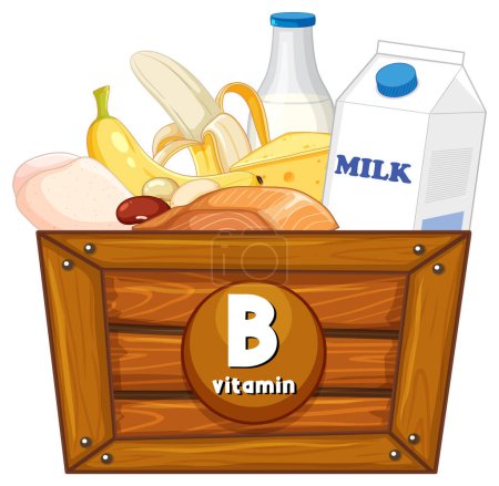 Téléchargez les illustrations : Découvrez les différents aliments riches en vitamine B - en licence libre de droit