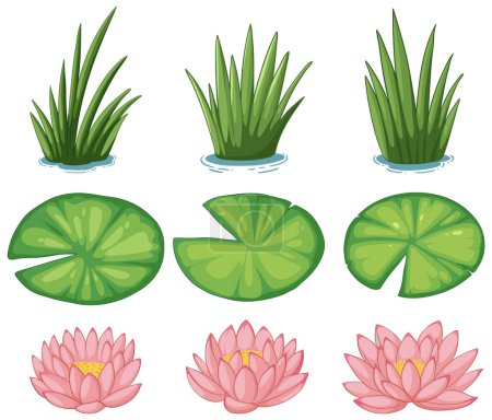 Vektorillustrationen von Wasserpflanzen und Blumen.