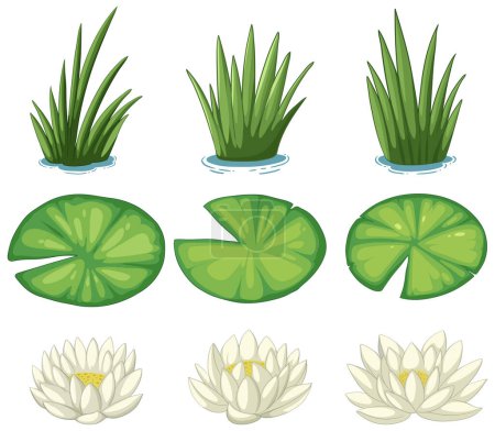 Téléchargez les illustrations : Illustrations vectorielles de diverses plantes aquatiques. - en licence libre de droit