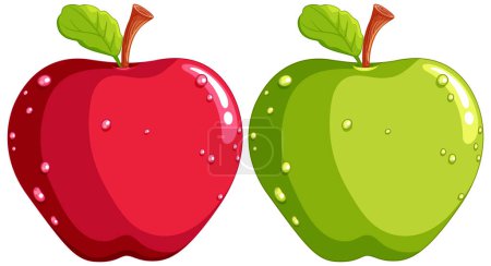 Ilustración de Ilustración vectorial de manzanas frescas, rojas y verdes. - Imagen libre de derechos