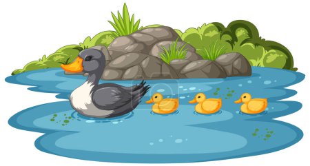 Entenmutter mit Entchen schwimmt in Teich