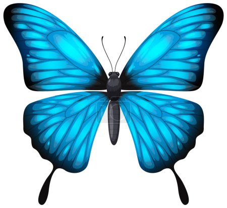 Ein detaillierter Vektor eines blauen Schmetterlings mit offenen Flügeln.