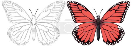 Téléchargez les illustrations : Illustrations papillon art coloré et ligne côte à côte. - en licence libre de droit