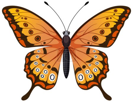 Ilustración de Colorida mariposa detallada con alas simétricas - Imagen libre de derechos