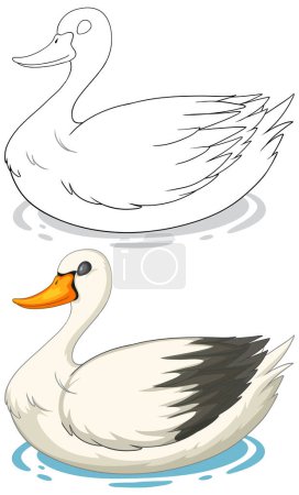 Vector illustration of a swan, sketched and colored.