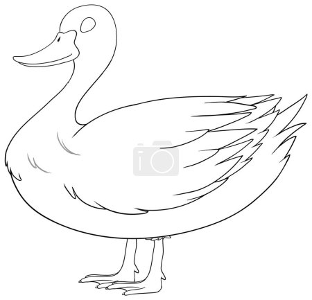 Illustration for Black and white line drawing of a duck. - Royalty Free Image