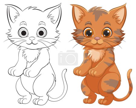 Téléchargez les illustrations : Illustration vectorielle d'un chaton coloré et contour - en licence libre de droit