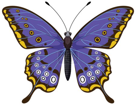Illustration for Colorful vector illustration of a blue butterfly - Royalty Free Image