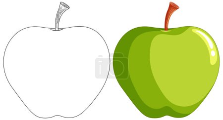 Ilustración vectorial de una manzana, medio dibujada, medio coloreada.