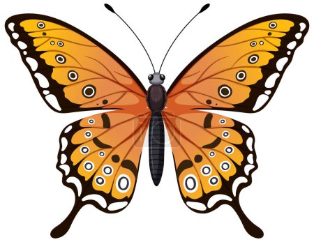 Téléchargez les photos : Graphique vectoriel coloré d'un papillon monarque - en image libre de droit