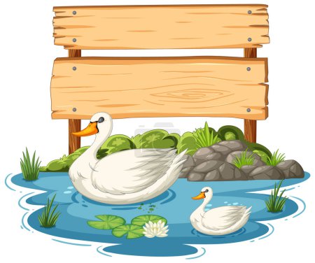 Téléchargez les illustrations : Deux cygnes nageant près d'un panneau en bois blanc. - en licence libre de droit