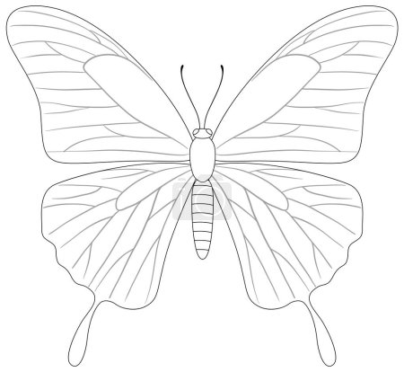 Illustration for Black and white vector of a detailed butterfly - Royalty Free Image