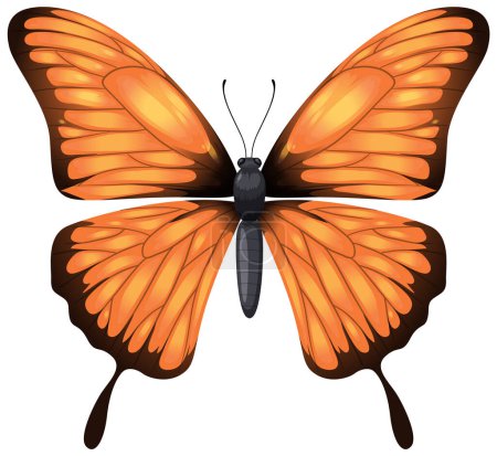 Ilustración de Gráfico vectorial detallado de una mariposa monarca naranja - Imagen libre de derechos