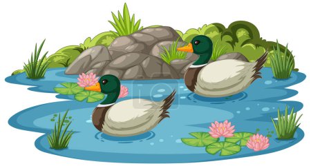 Ilustración de Dos patos se deslizan pacíficamente sobre un estanque tranquilo. - Imagen libre de derechos