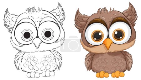 Vector illustration of an owl, colored and line art.