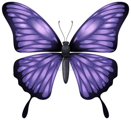 Téléchargez les illustrations : Graphique vectoriel d'un papillon violet vibrant - en licence libre de droit