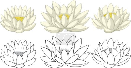 Téléchargez les illustrations : Collection de fleurs de lotus dans différentes nuances et styles. - en licence libre de droit