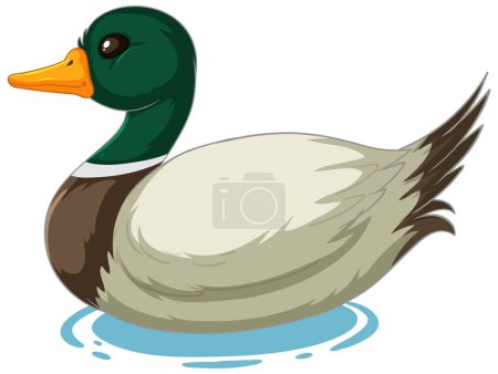 Téléchargez les illustrations : Graphique vectoriel d'un canard flottant sur l'eau - en licence libre de droit