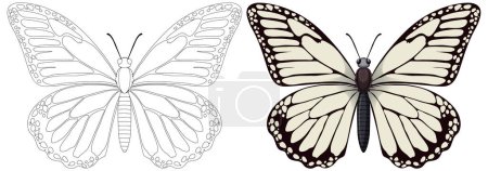 Vektorgrafik eines Schmetterlings, farbig und umrissen.