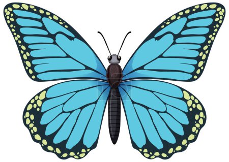 Téléchargez les illustrations : Un graphique vectoriel détaillé d'un papillon bleu - en licence libre de droit