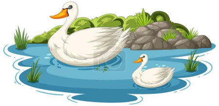 Illustration for Two swans gracefully floating on tranquil water. - Royalty Free Image