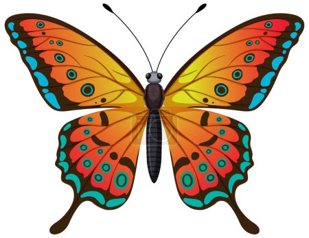 Ilustración de Mariposa colorida con intrincados patrones de alas - Imagen libre de derechos