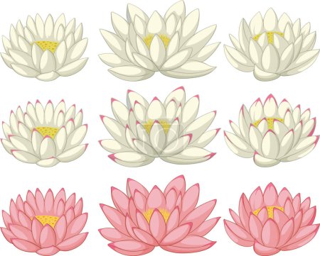 Illustration for Vector illustrations of lotus flowers in bloom - Royalty Free Image