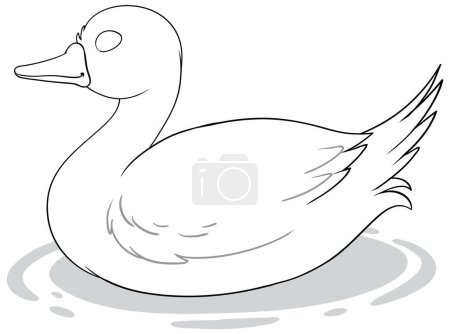 Simple vector illustration of a duck floating