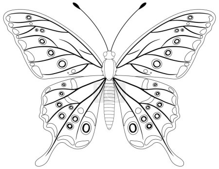 Téléchargez les illustrations : Dessin en ligne noir et blanc d'un papillon - en licence libre de droit