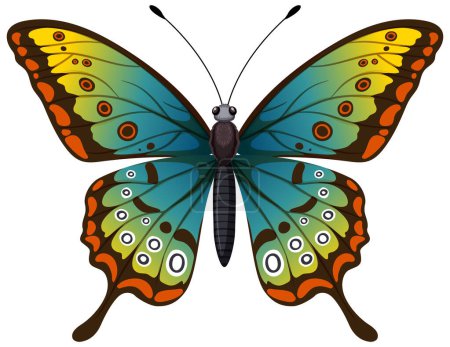 Ilustración de Mariposa colorida con patrones de ala detallados - Imagen libre de derechos
