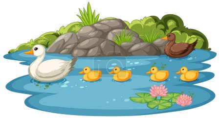 Vector illustration of ducks swimming in a pond