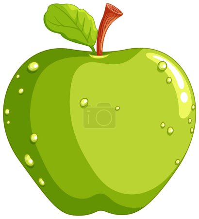 Illustration for Vector graphic of a ripe green apple with water droplets - Royalty Free Image