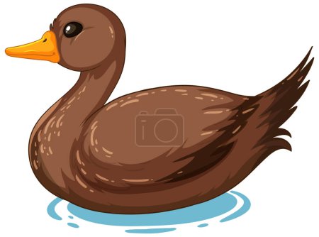 Illustration for Vector graphic of a brown duck floating calmly - Royalty Free Image